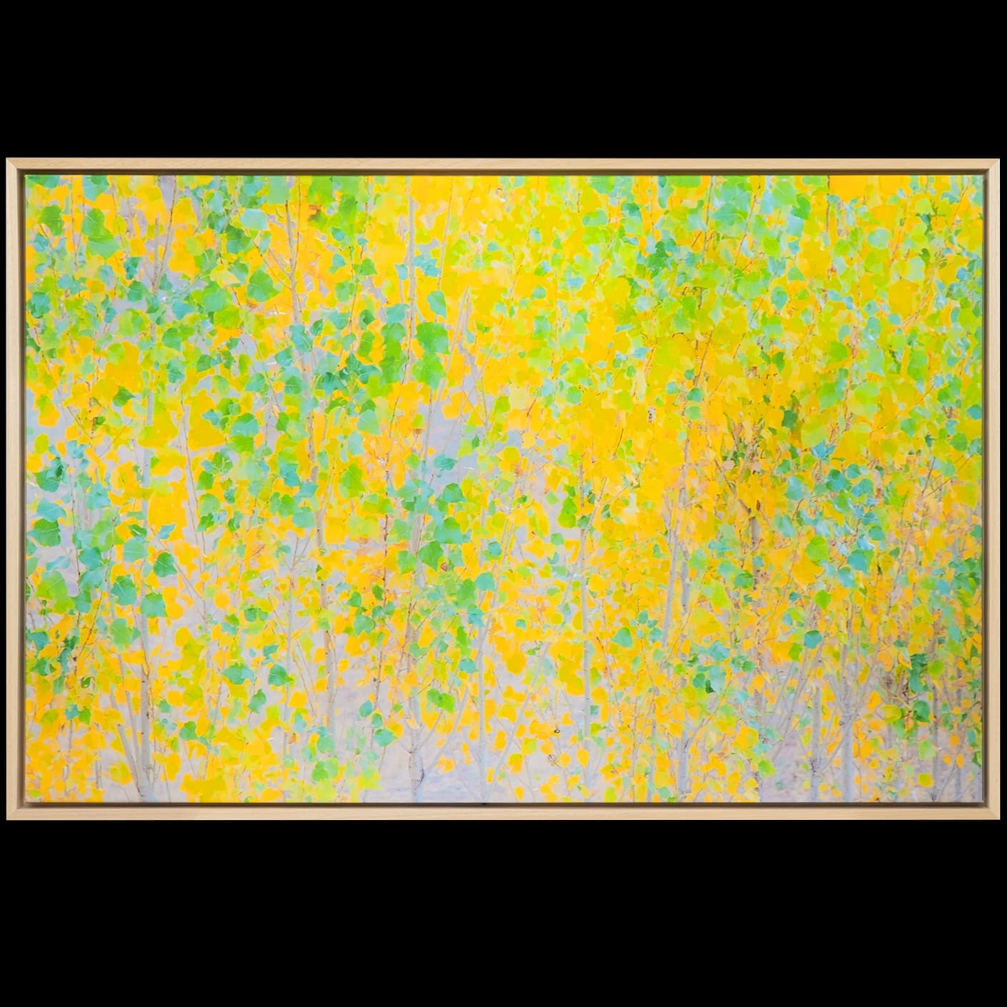 Twilight canvas in green and yellow, shown in a product front view as image 1